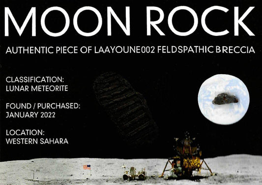 Moon Meteorite piece from Lunar Meteorite